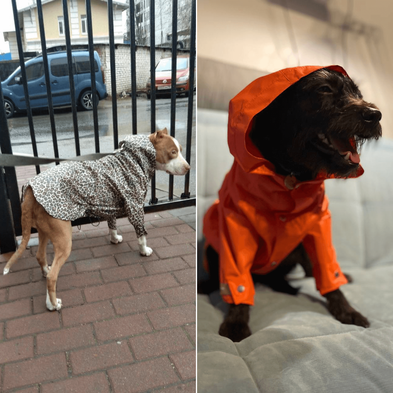 Одежда для собак своими руками Dress for dogs