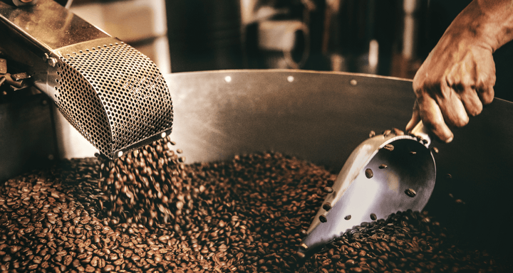 Как перейти от вендинговых автоматов кофе к производству зерна: опыт предпринимательницы из Удмуртии