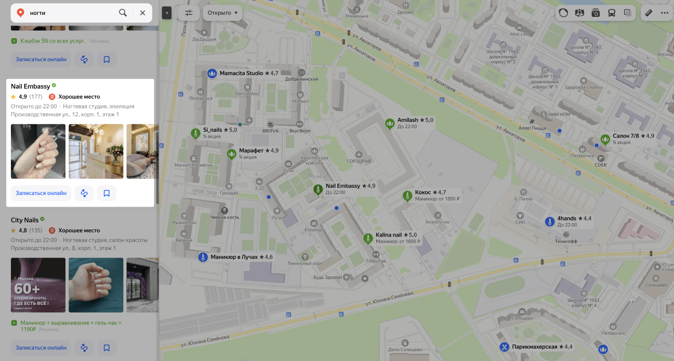 Скриншот выдачи поиска на Яндекс Картах