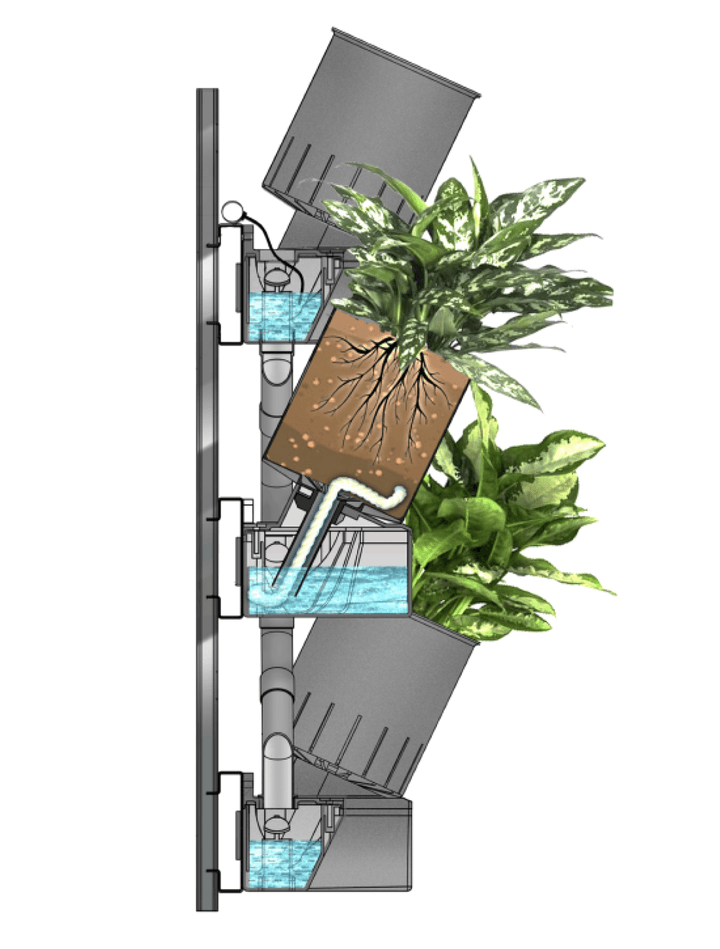 модульная система вертикального озеленения