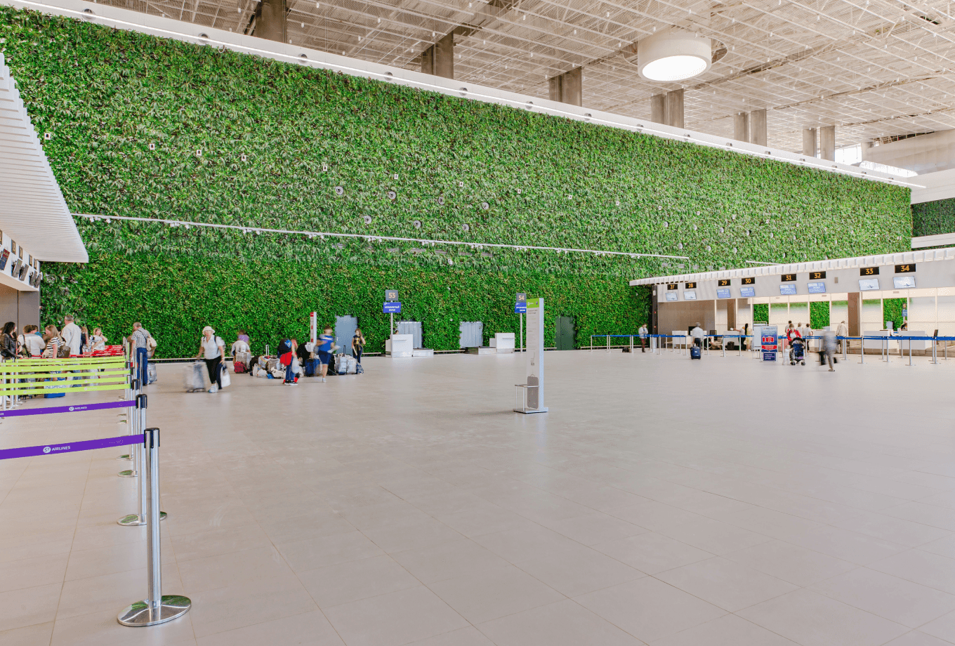 зеленая стена в аэропорту Симферополя