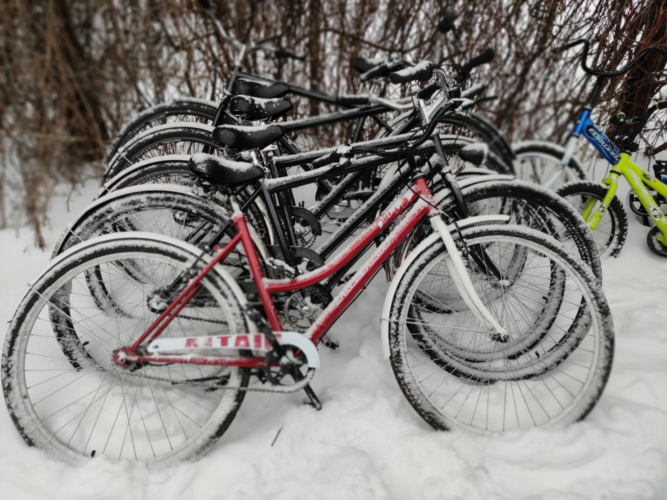 Где хранить велосипеды зимой