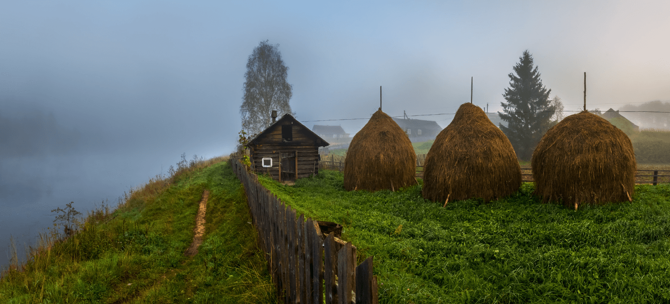 Как выглядят вепсские деревни