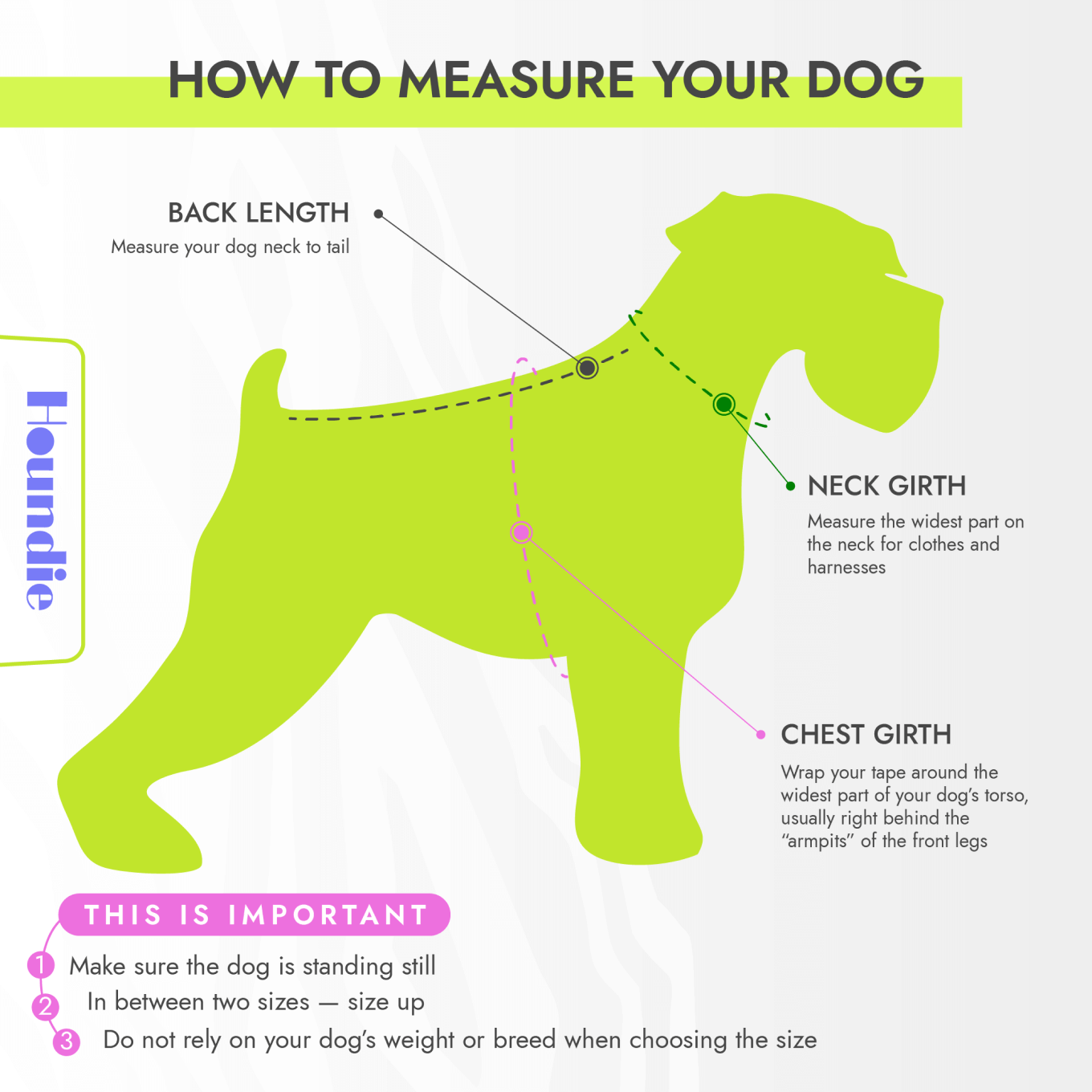 Какие мерки снимать с собаки для пошива одежды