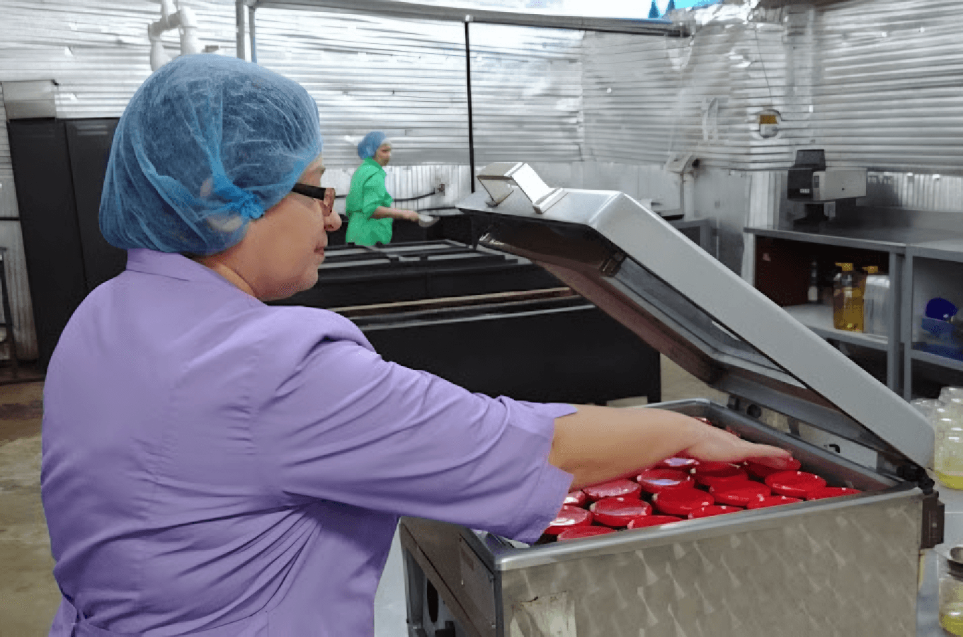 Производственная линия сушки томатов